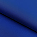 Bliss Micro Modal Spandex Jersey Fabric | Blue Moon Fabrics