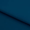 Double Sided Brushed Recycled Polyester Spandex | Blue Moon Fabrics