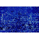 Halo Spandex Sequin Fabric | Blue Moon Fabrics